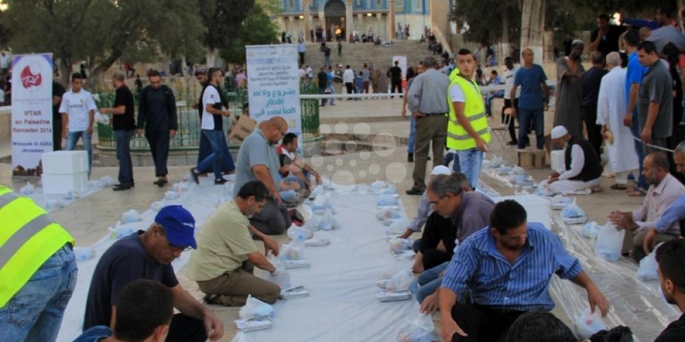 220616_MUT_00 (5) (1)