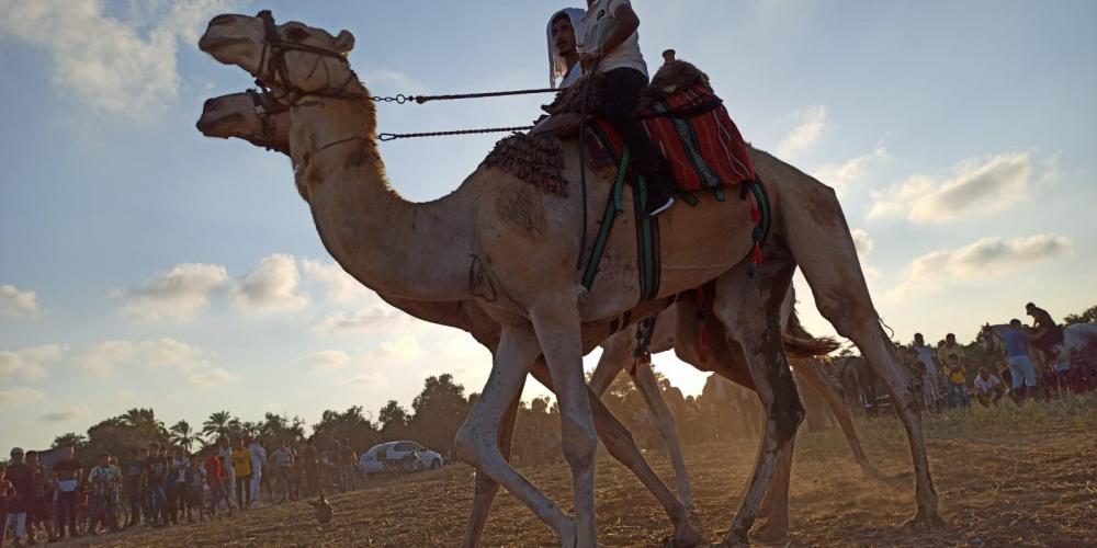 WhatsApp Image 2020-07-09 at 8.39.01 PM