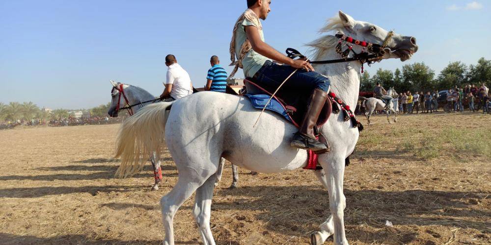 WhatsApp Image 2020-07-09 at 8.39.23 PM