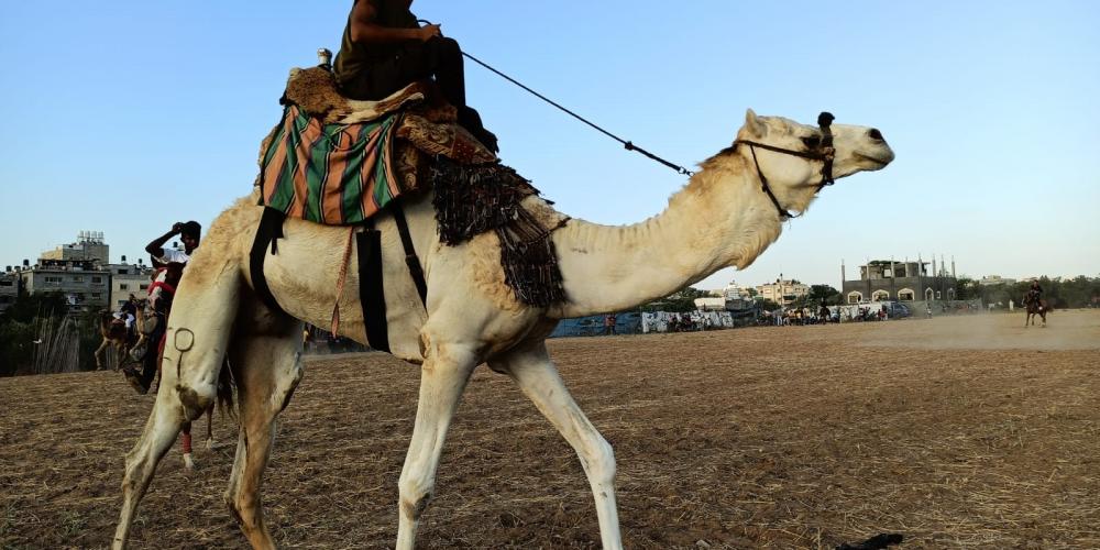 WhatsApp Image 2020-07-09 at 8.38.56 PM