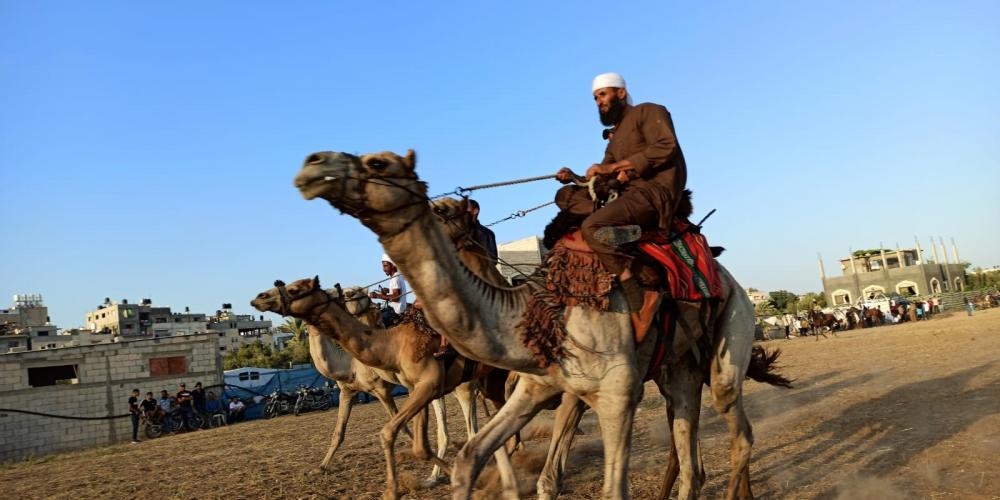 WhatsApp Image 2020-07-09 at 8.39.26 PM