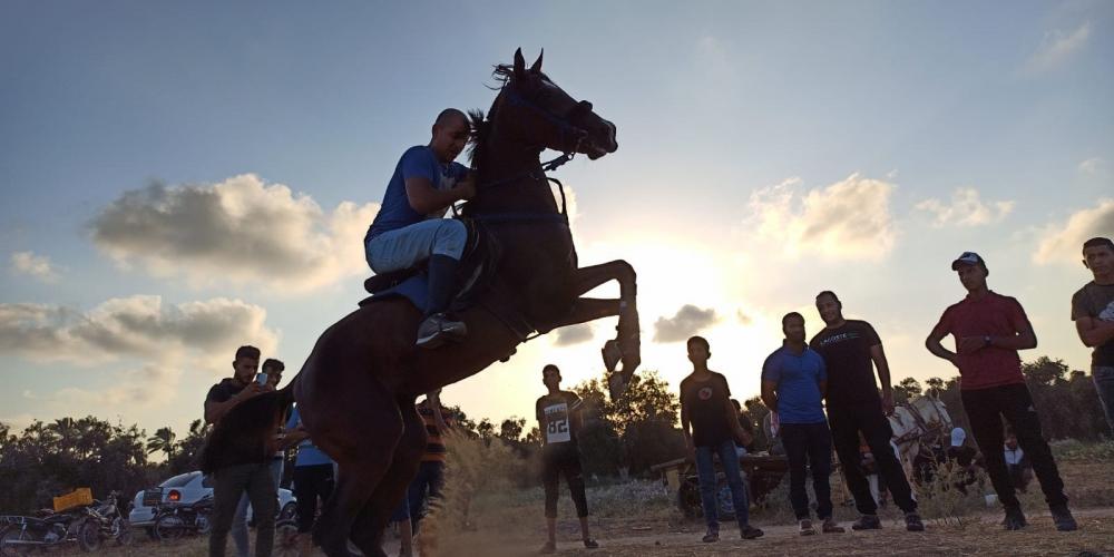 WhatsApp Image 2020-07-09 at 8.38.33 PM