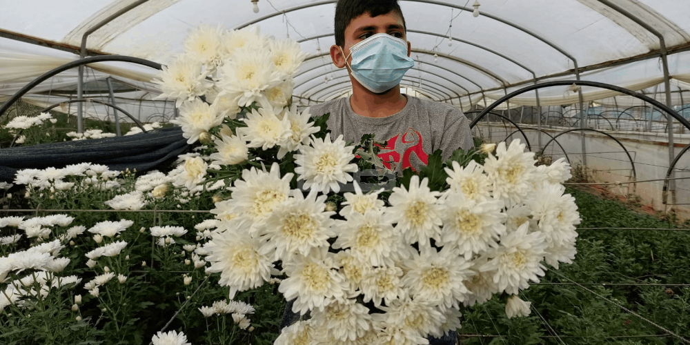 WhatsApp Image 2020-09-29 at 12.00.22 PM