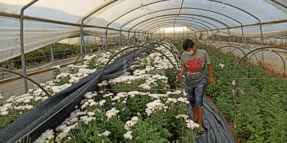 WhatsApp Image 2020-09-29 at 12.00.24 PM