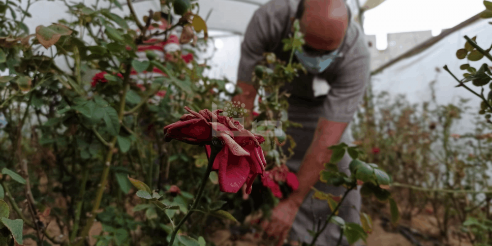 WhatsApp Image 2020-09-29 at 12.00.17 PM (1)