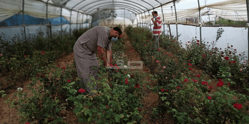 WhatsApp Image 2020-09-29 at 12.00.20 PM (1)