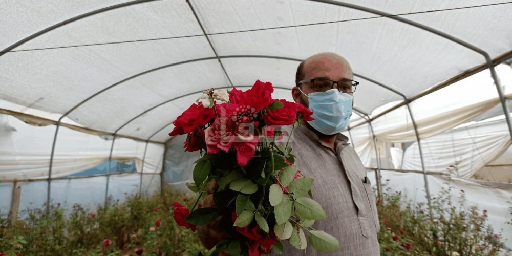 WhatsApp Image 2020-09-29 at 12.00.20 PM