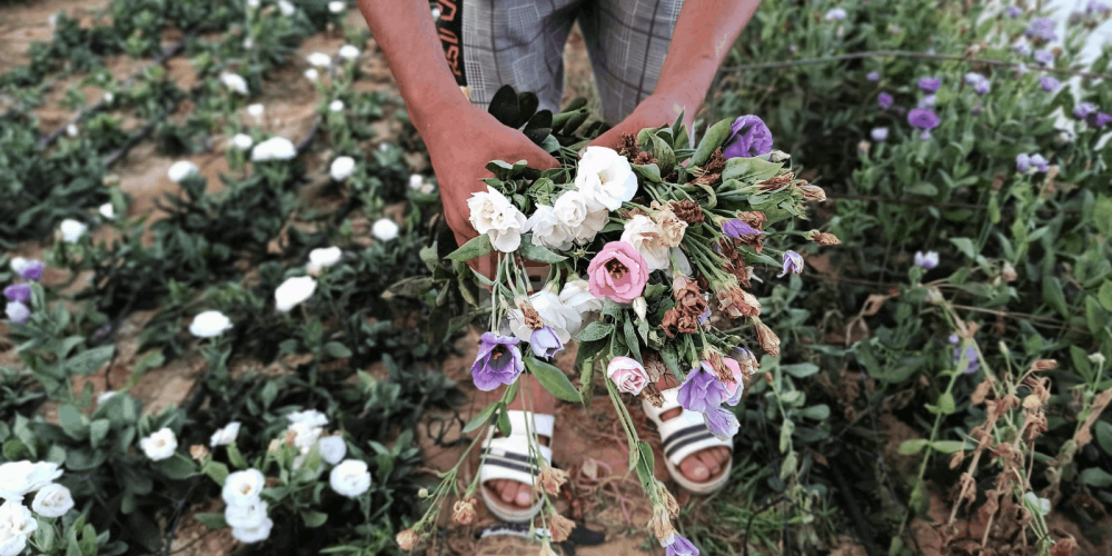 WhatsApp Image 2020-09-29 at 12.00.21 PM