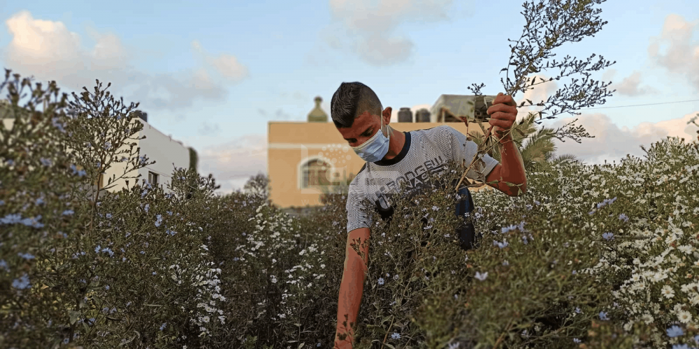 WhatsApp Image 2020-09-29 at 12.00.20 PM (2)