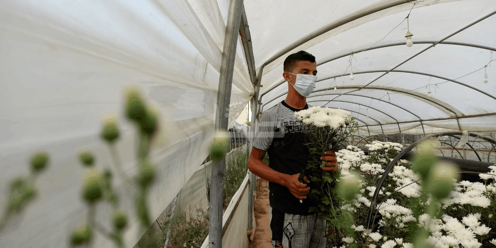 WhatsApp Image 2020-09-29 at 12.00.23 PM