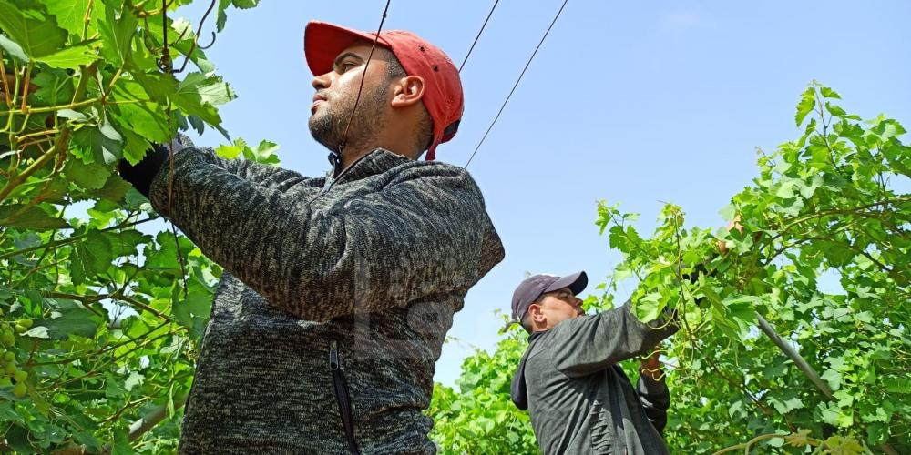 WhatsApp Image 2022-05-31 at 8.41.42 AM (1)