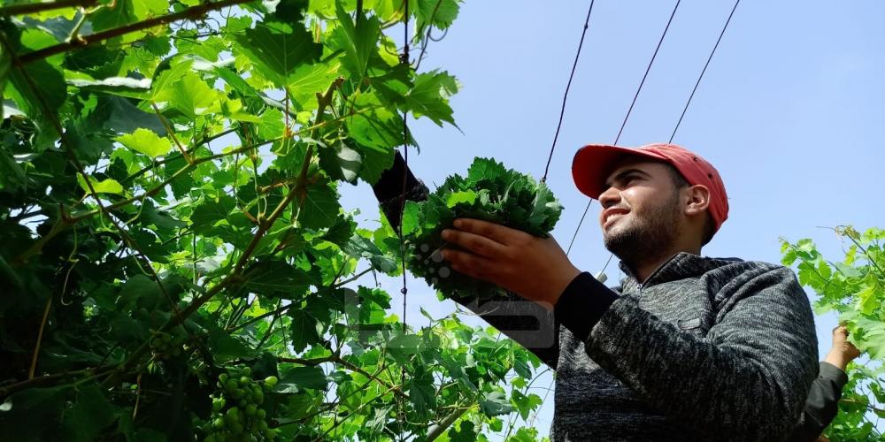 WhatsApp Image 2022-05-31 at 8.41.43 AM