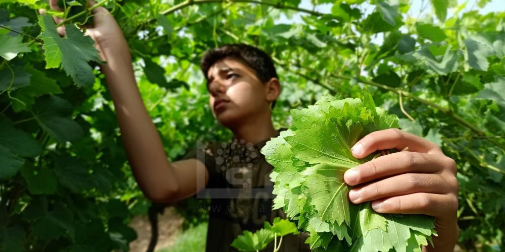 WhatsApp Image 2022-05-31 at 8.40.38 AM