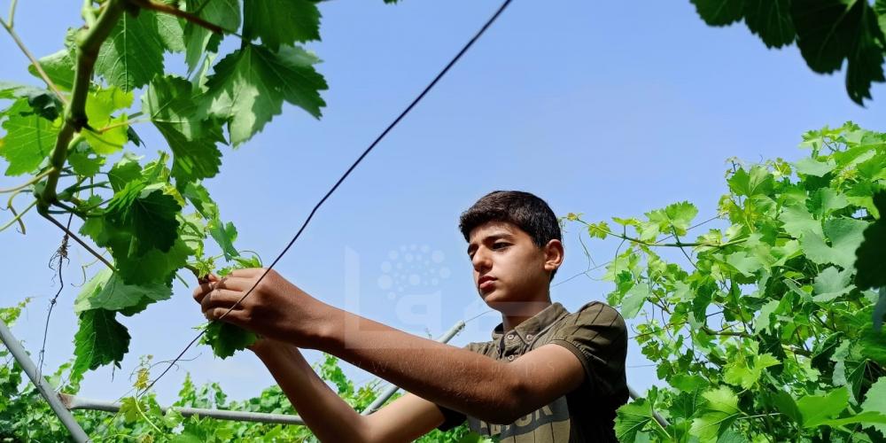 WhatsApp Image 2022-05-31 at 8.41.34 AM