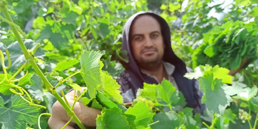 WhatsApp Image 2022-05-31 at 8.41.45 AM (1)