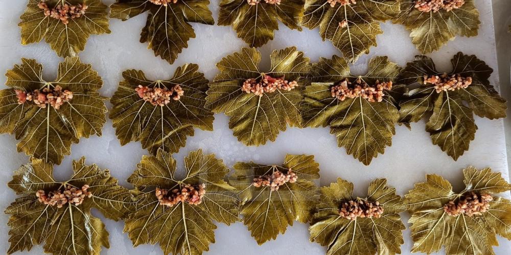 WhatsApp Image 2022-05-31 at 8.42.20 AM (2)