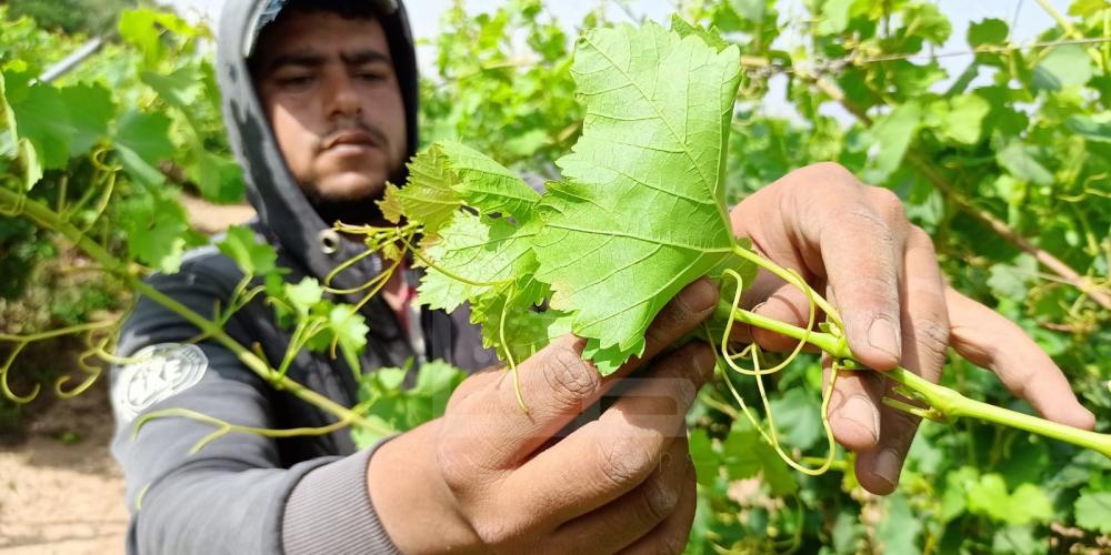 WhatsApp Image 2022-05-31 at 8.41.42 AM