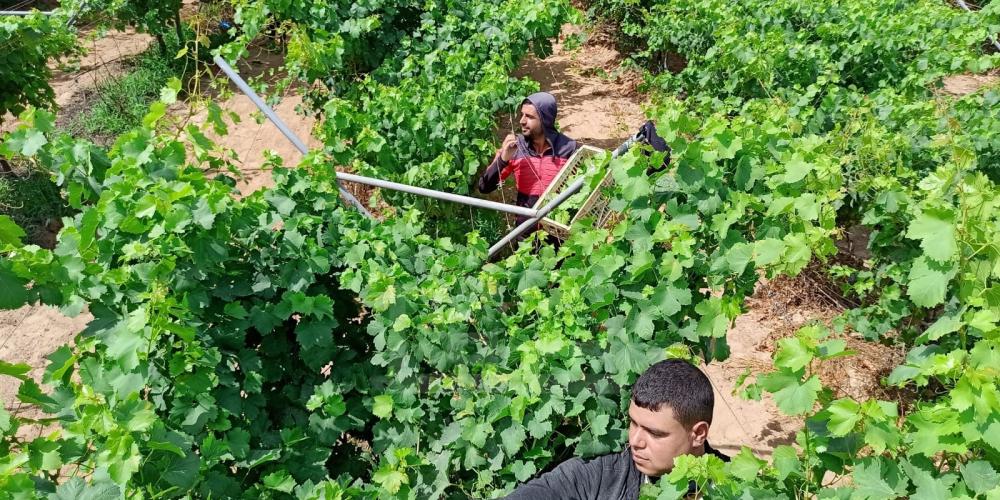 WhatsApp Image 2022-05-31 at 8.42.20 AM (1)