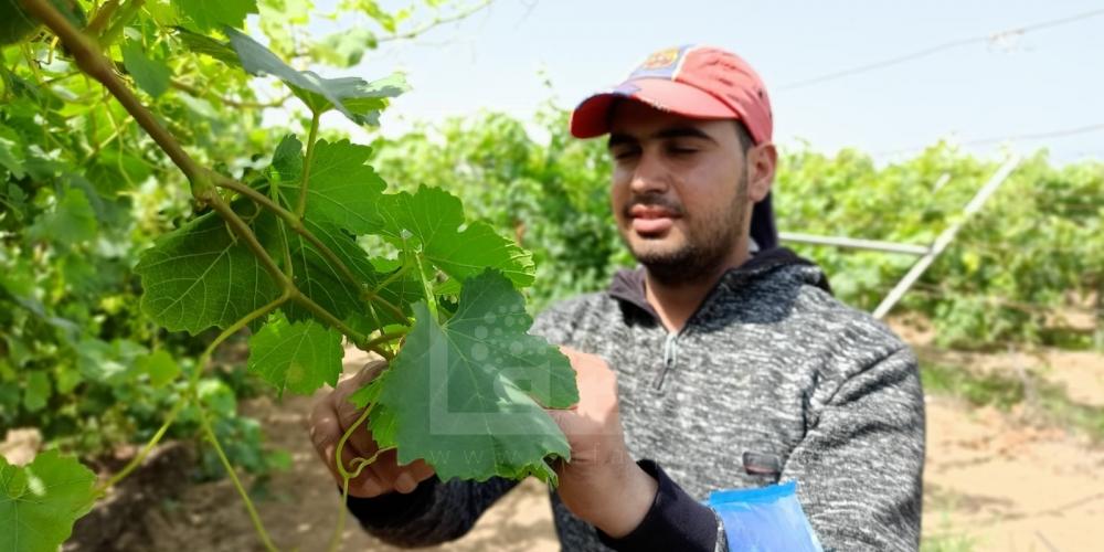 WhatsApp Image 2022-05-31 at 8.41.46 AM