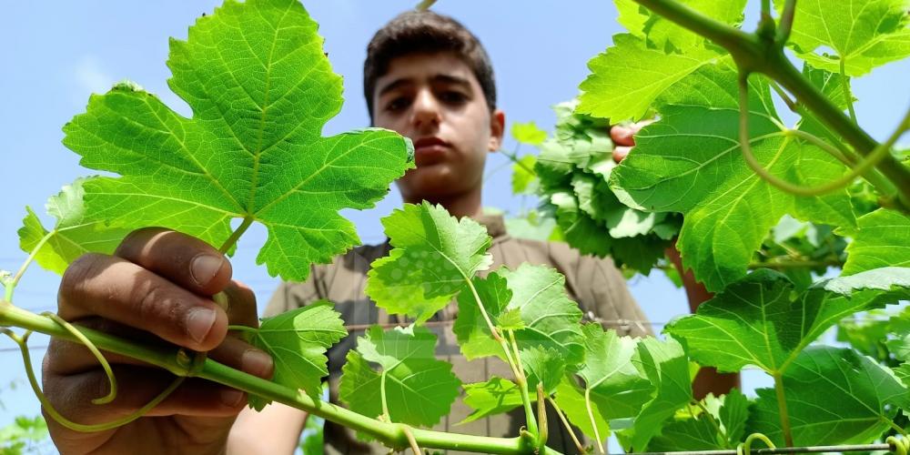 WhatsApp Image 2022-05-31 at 8.40.39 AM