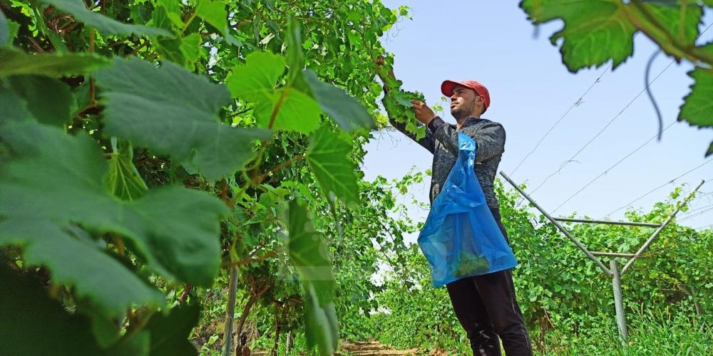 WhatsApp Image 2022-05-31 at 8.42.19 AM