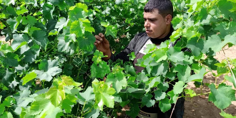 WhatsApp Image 2022-05-31 at 8.41.45 AM