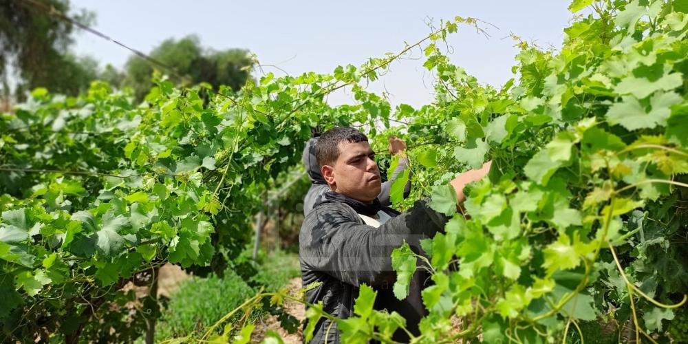 WhatsApp Image 2022-05-31 at 8.41.44 AM (1)