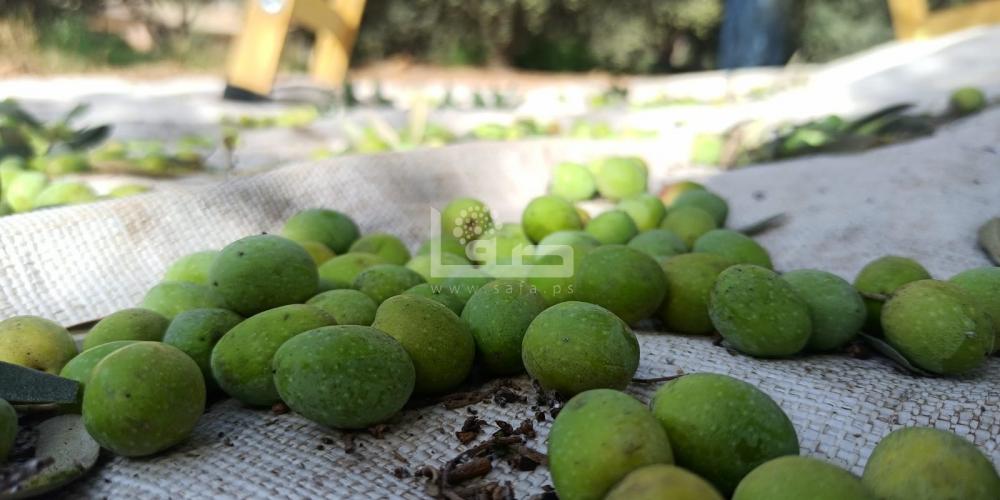 WhatsApp Image 2022-09-25 at 1.28.09 PM