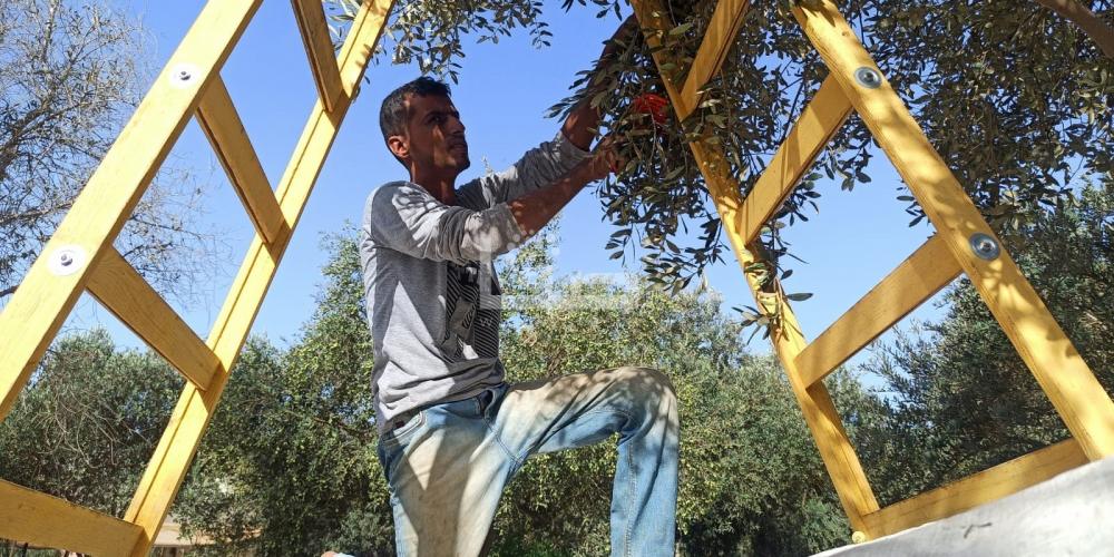 WhatsApp Image 2022-09-25 at 1.28.08 PM