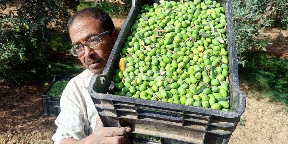 WhatsApp Image 2022-09-25 at 1.28.09 PM (2)