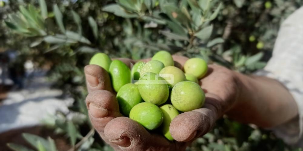 WhatsApp Image 2022-09-25 at 1.28.11 PM (1)