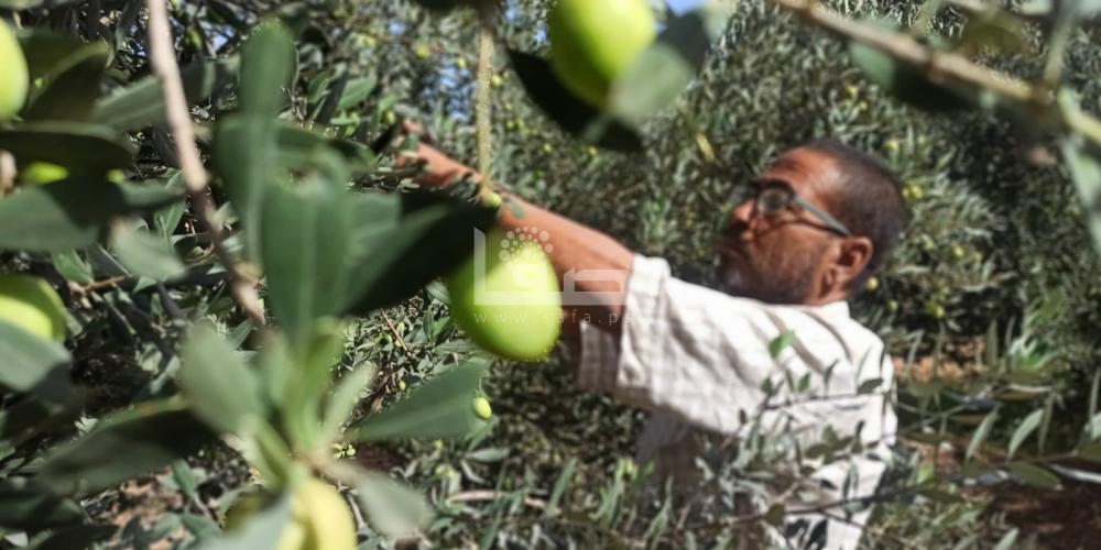 WhatsApp Image 2022-09-25 at 1.28.11 PM