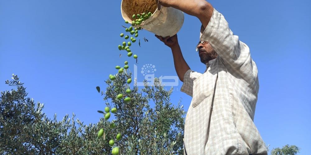 WhatsApp Image 2022-09-25 at 1.28.09 PM (1)