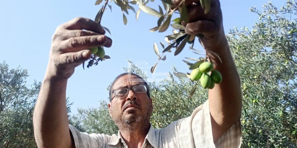 WhatsApp Image 2022-09-25 at 1.28.14 PM