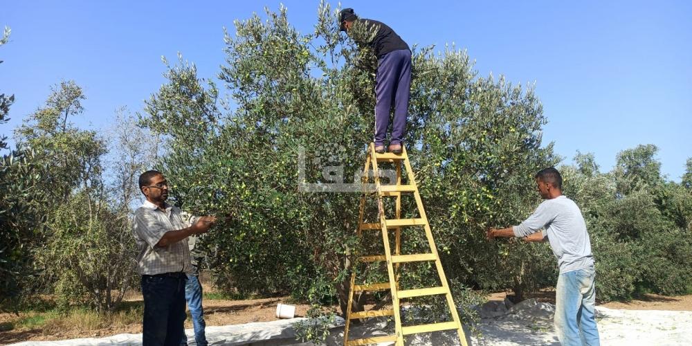 WhatsApp Image 2022-09-25 at 1.28.10 PM (1)