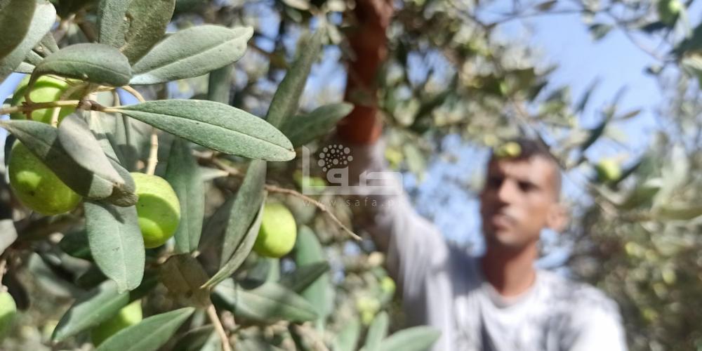 WhatsApp Image 2022-09-25 at 1.28.07 PM