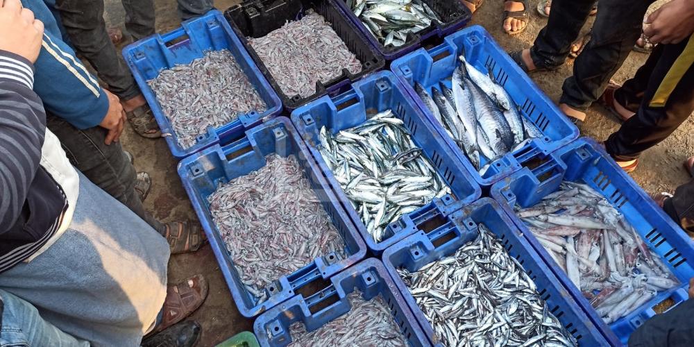 WhatsApp Image 2022-10-27 at 9.59.56 AM (1)