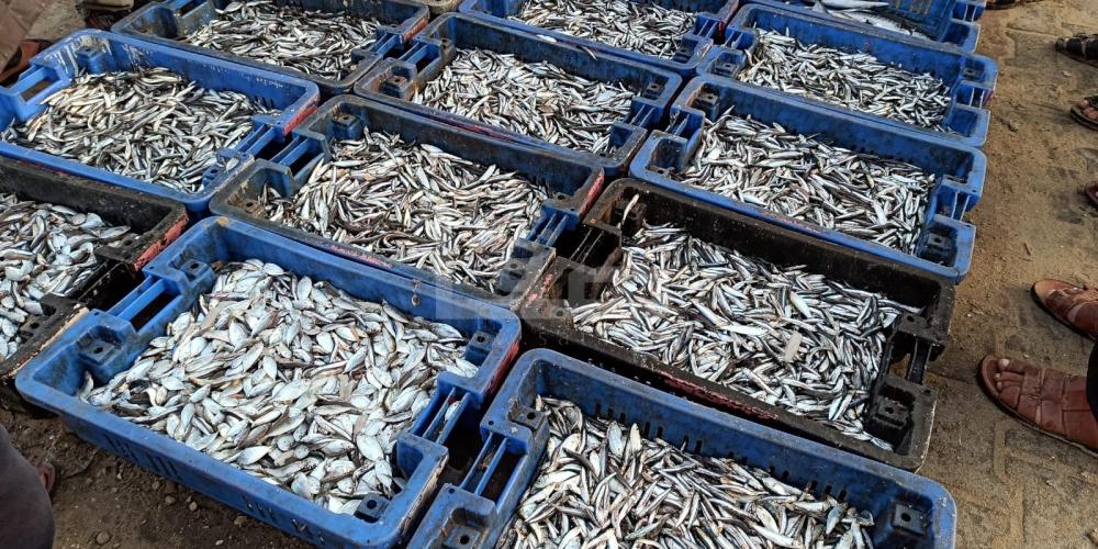 WhatsApp Image 2022-10-27 at 9.59.56 AM (2)