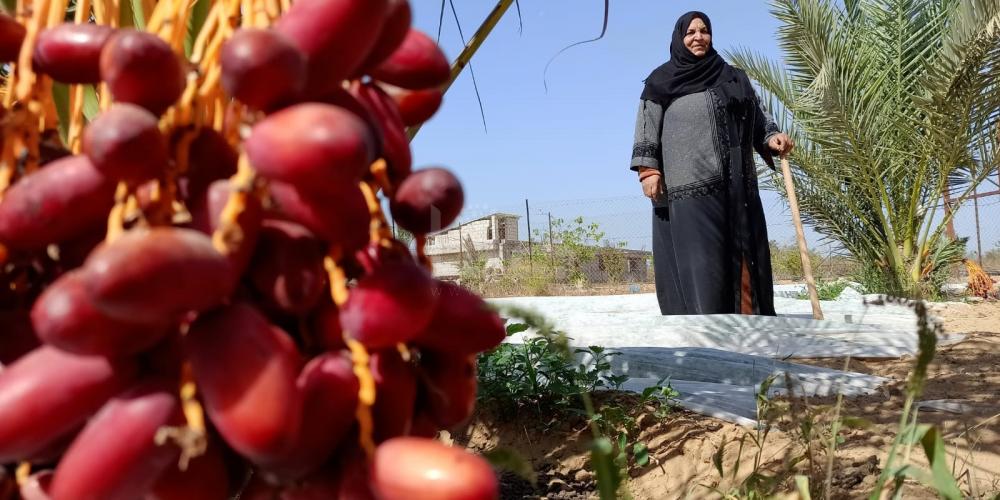 WhatsApp Image 2022-10-16 at 5.17.22 PM