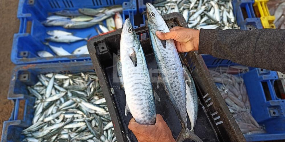 WhatsApp Image 2022-10-27 at 9.59.49 AM