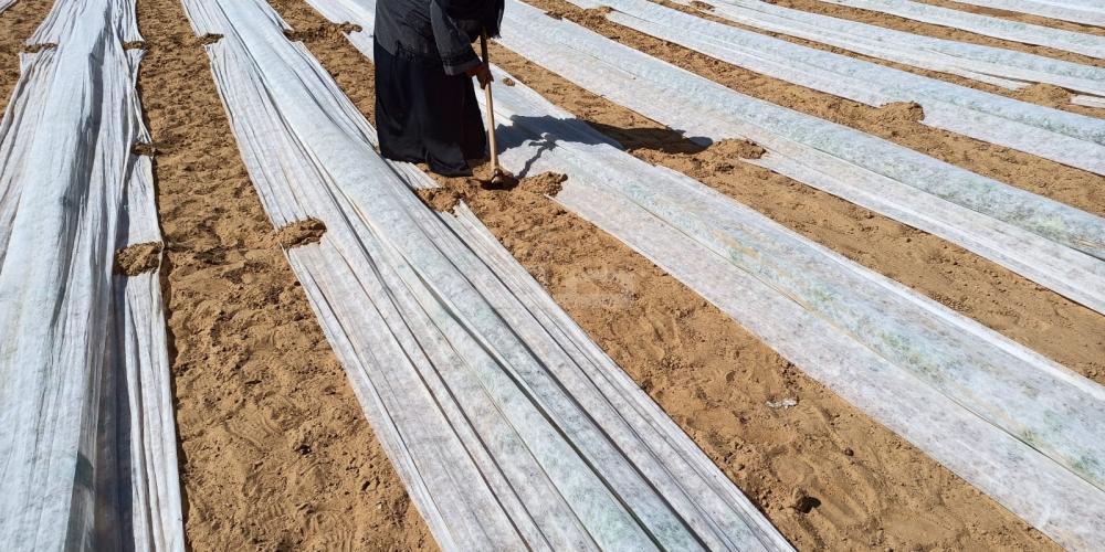 WhatsApp Image 2022-10-16 at 5.17.21 PM (3)