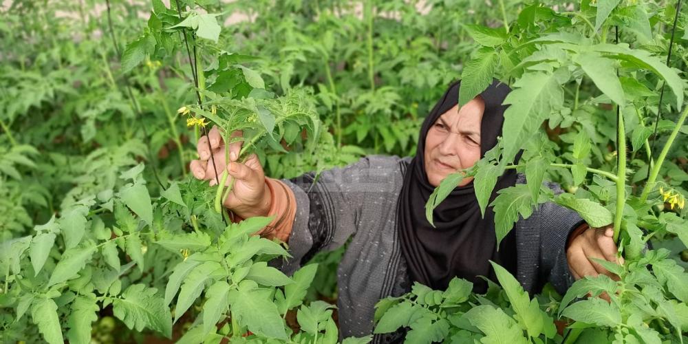 WhatsApp Image 2022-10-16 at 5.17.19 PM (1)