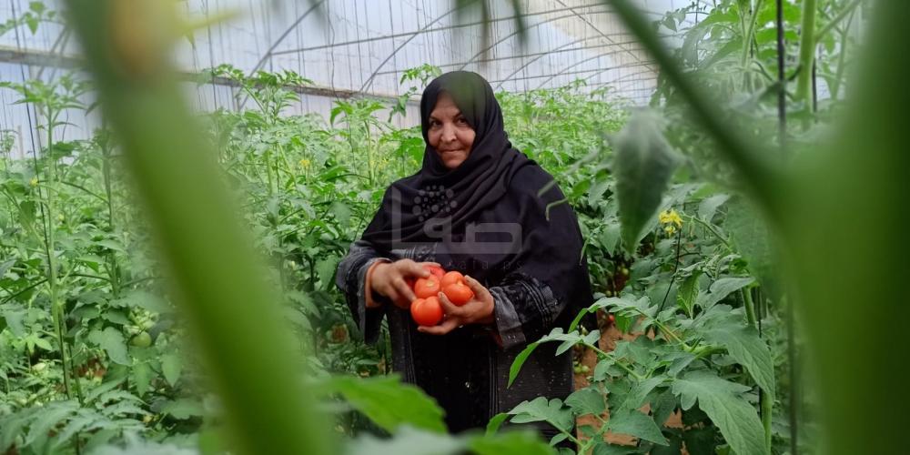 WhatsApp Image 2022-10-16 at 5.17.20 PM (3)