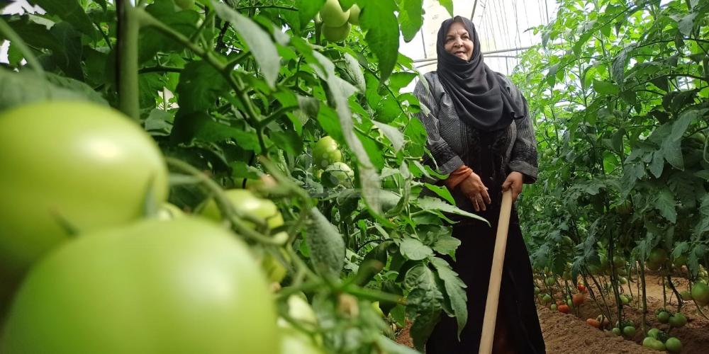 WhatsApp Image 2022-10-16 at 5.17.19 PM (2)