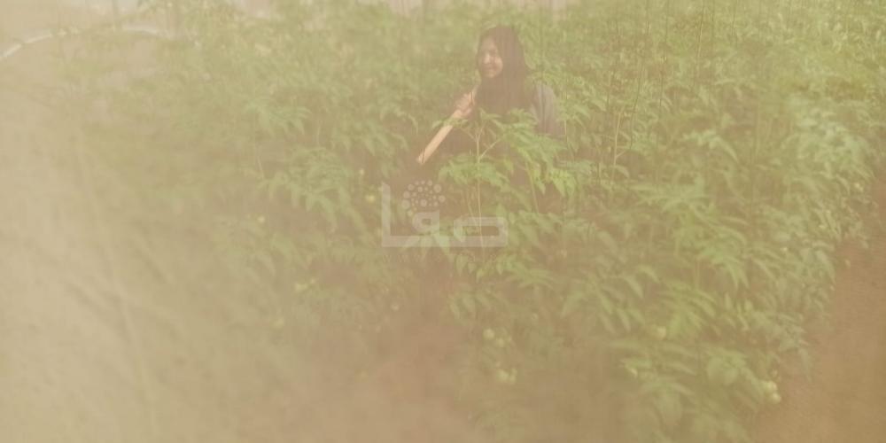 WhatsApp Image 2022-10-16 at 5.17.15 PM (2)