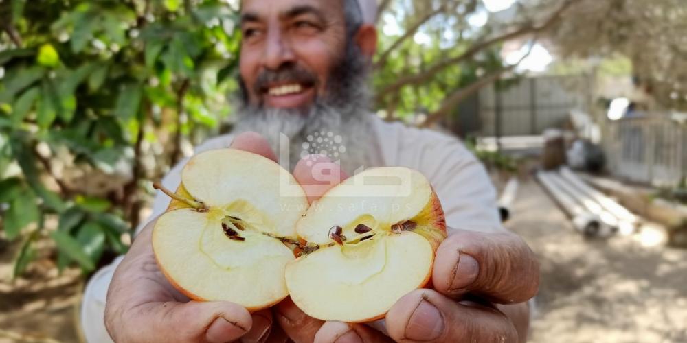 WhatsApp Image 2022-11-06 at 8.36.30 AM