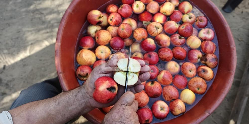 WhatsApp Image 2022-11-06 at 8.36.31 AM (1)