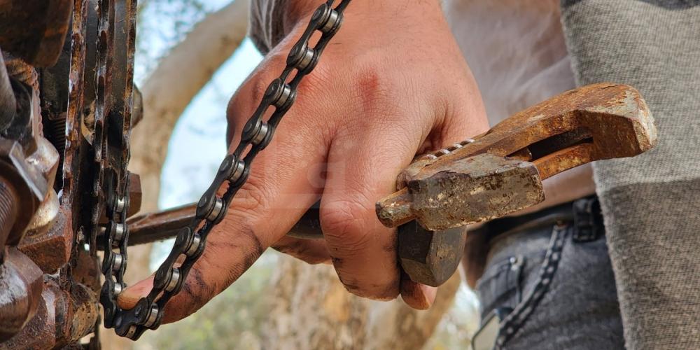 WhatsApp Image 2023-01-29 at 1.46.52 PM