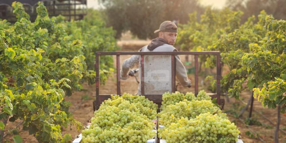 WhatsApp Image 2023-07-11 at 9.31.49 AM