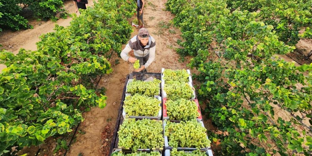 WhatsApp Image 2023-07-11 at 9.31.49 AM (2)